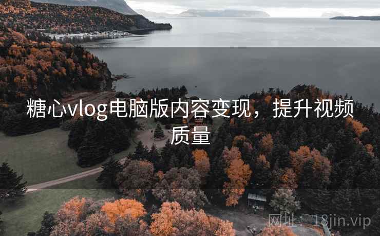 糖心vlog电脑版内容变现，提升视频质量